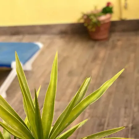 Apartment 2 Bedroom Penthouse With Private Terrace